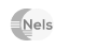 NelsonHall hover logo